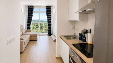 Foto 5 de Estudio en venta en Sa Mola, Cales de Mallorca, Manacor