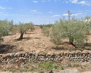 Land for sale in Vinaròs