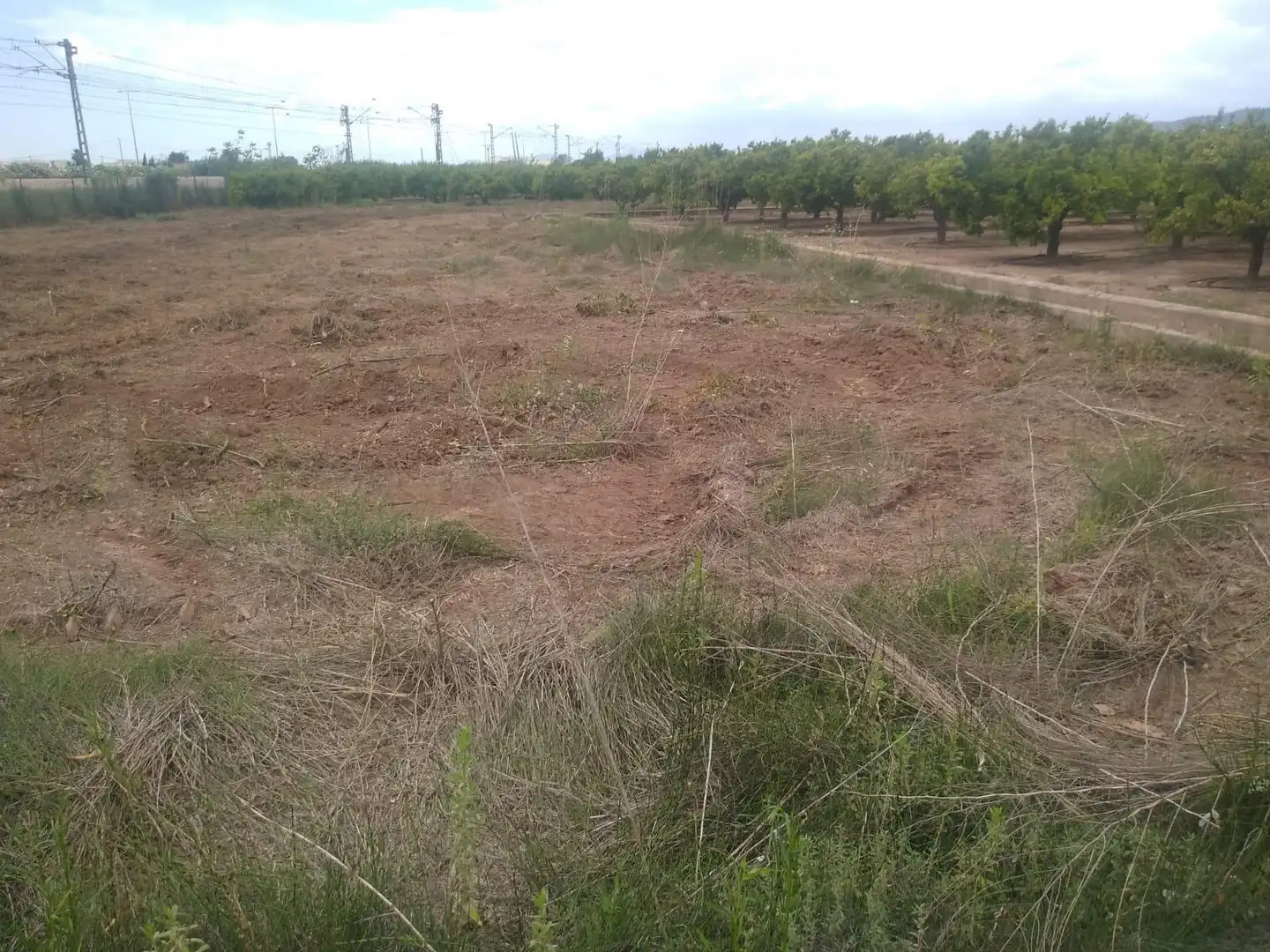 Terreno rustico in vendita a Norte, imagen 2