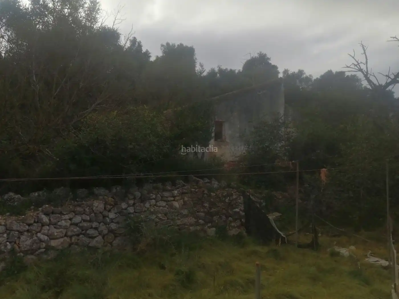 Rural land for sale in Camì del pas a Nivell 9, imagen 9