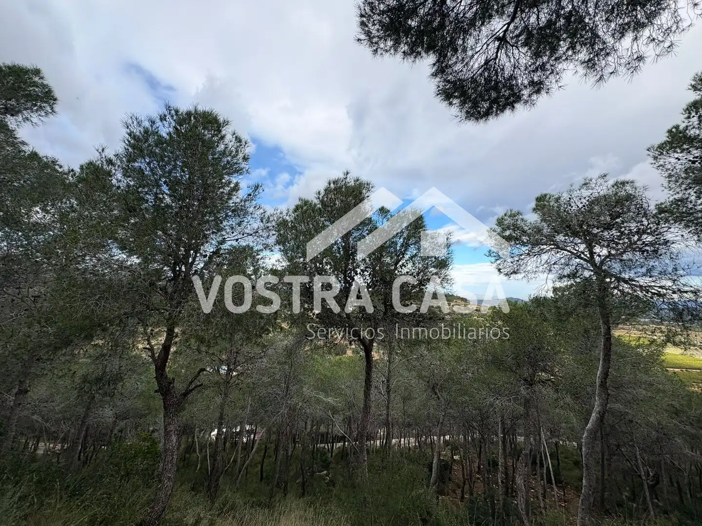 Terreno en venta en Chiva