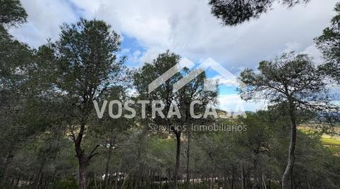 Foto 4 de Terreno en venta en Dos, -1, El Bosque, Chiva