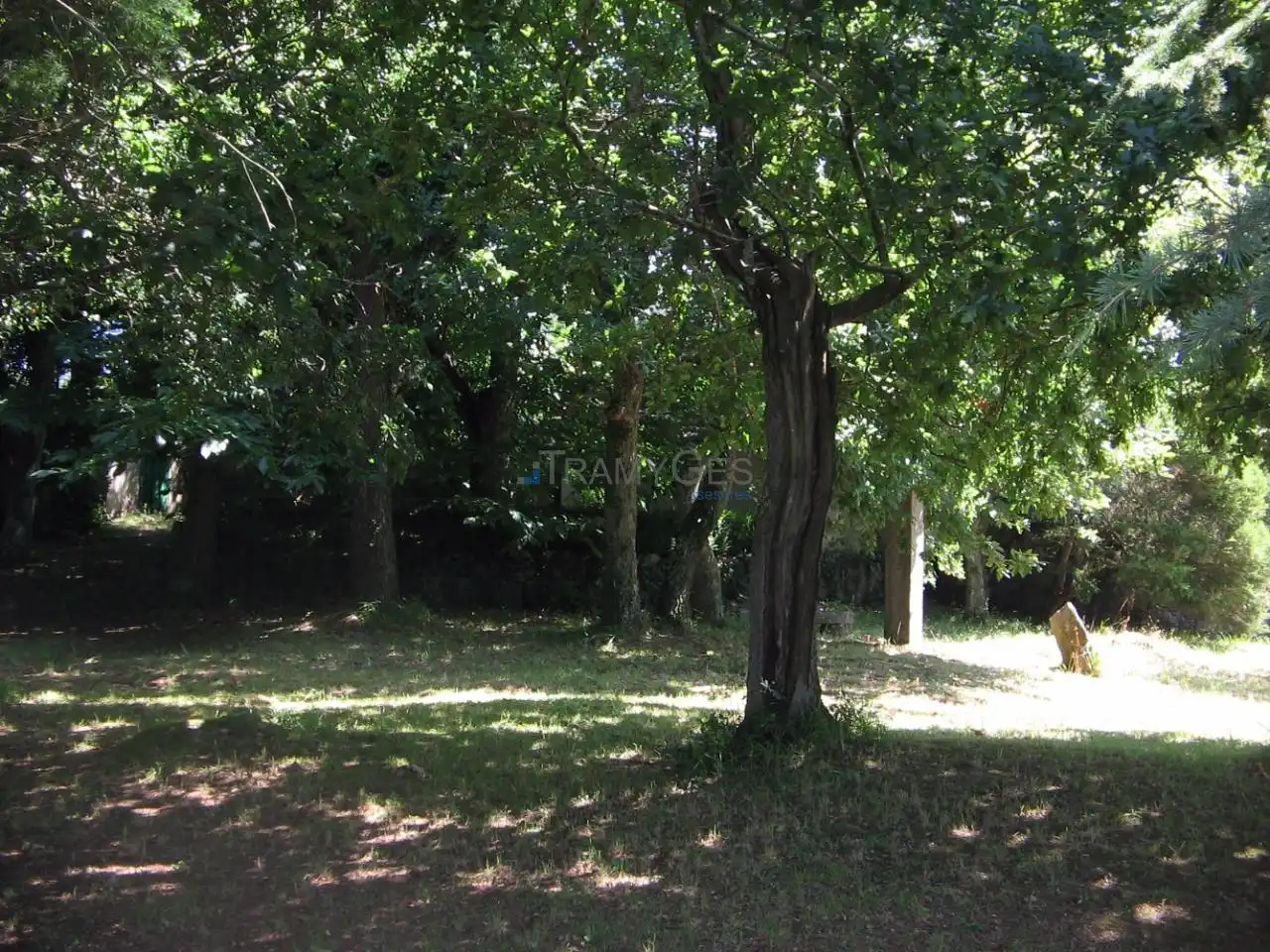 Casa o chalet en venta en Vigo  con Jardín privado