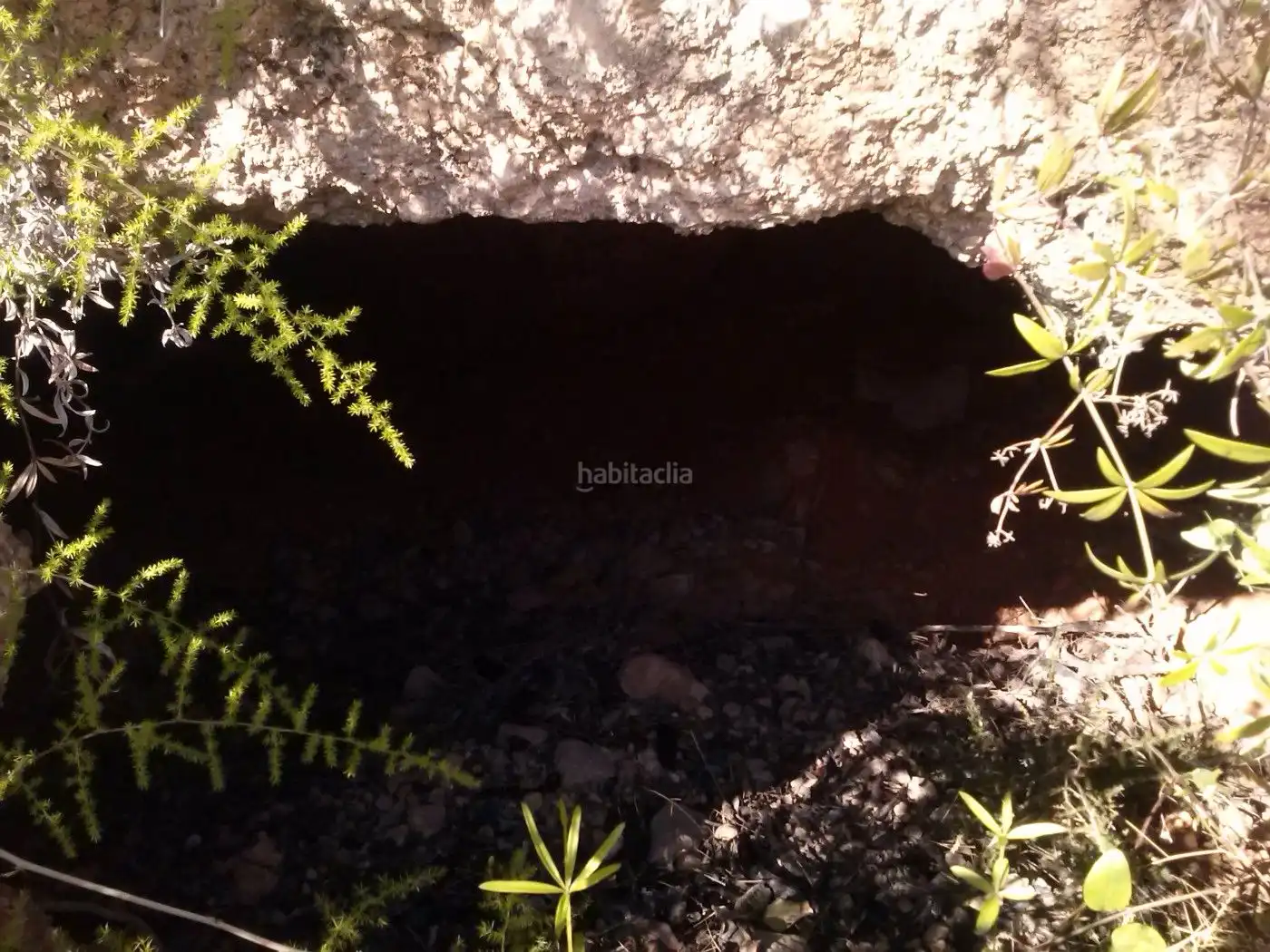 Terrain rustique à vendre à Carrer de l'Aigua 26, imagen 3