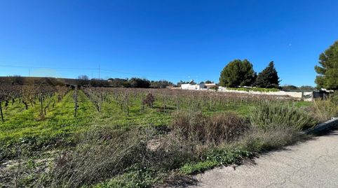 PARCELA DE 1072 METROS EN CARRRETERA SANLÚCAR
