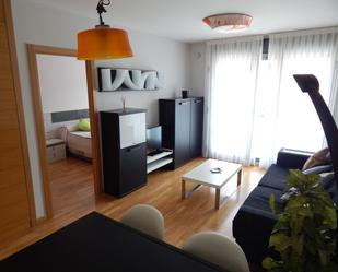 Sala d'estar de Apartament de lloguer en Ávila Capital amb Terrassa