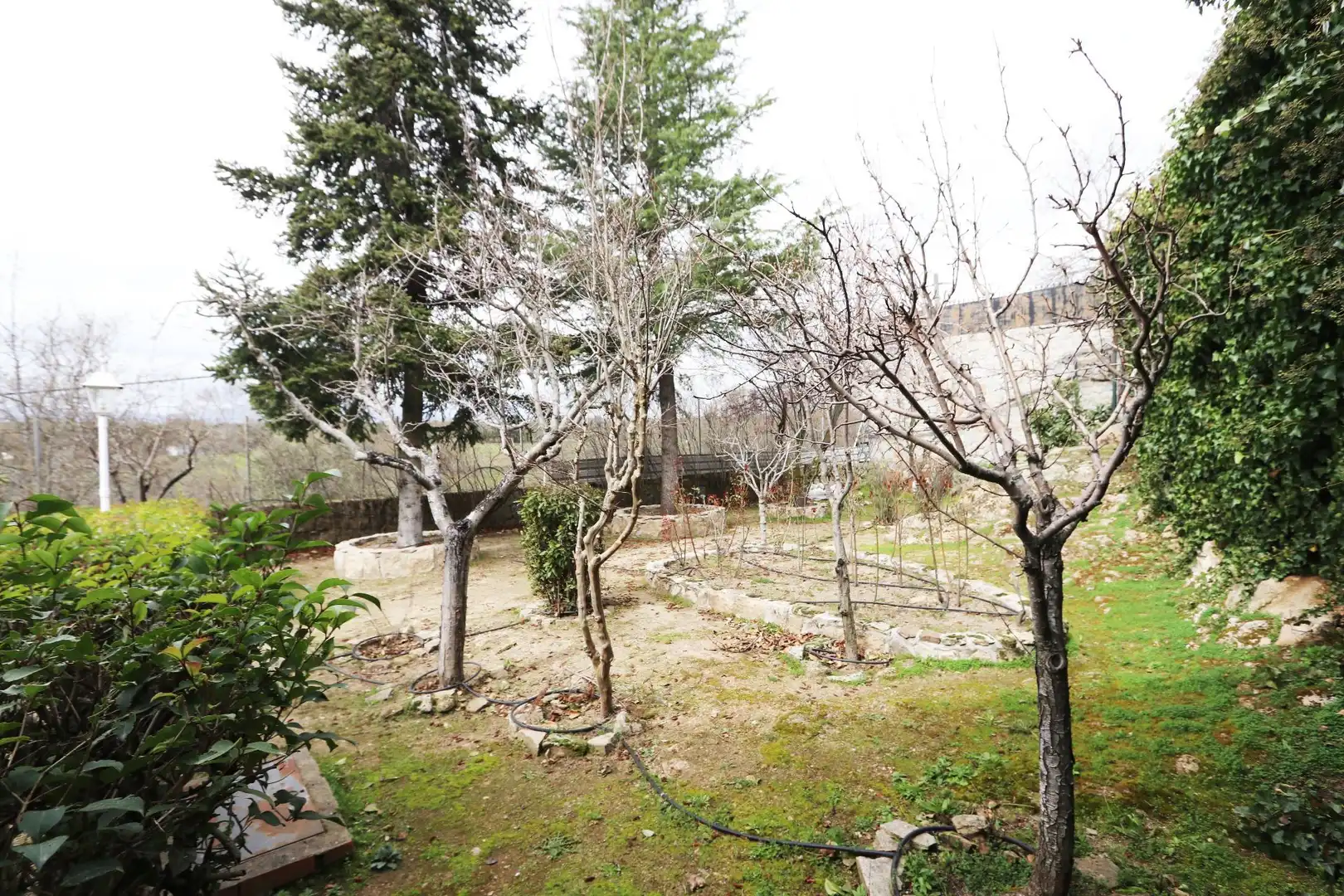 Jardín de Casa o chalet en venta en Colmenarejo con Calefacción, Terraza y Trastero