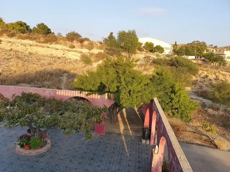 Vista exterior de Casa o chalet en venta en Elche / Elx con Terraza, Balcón y Alarma