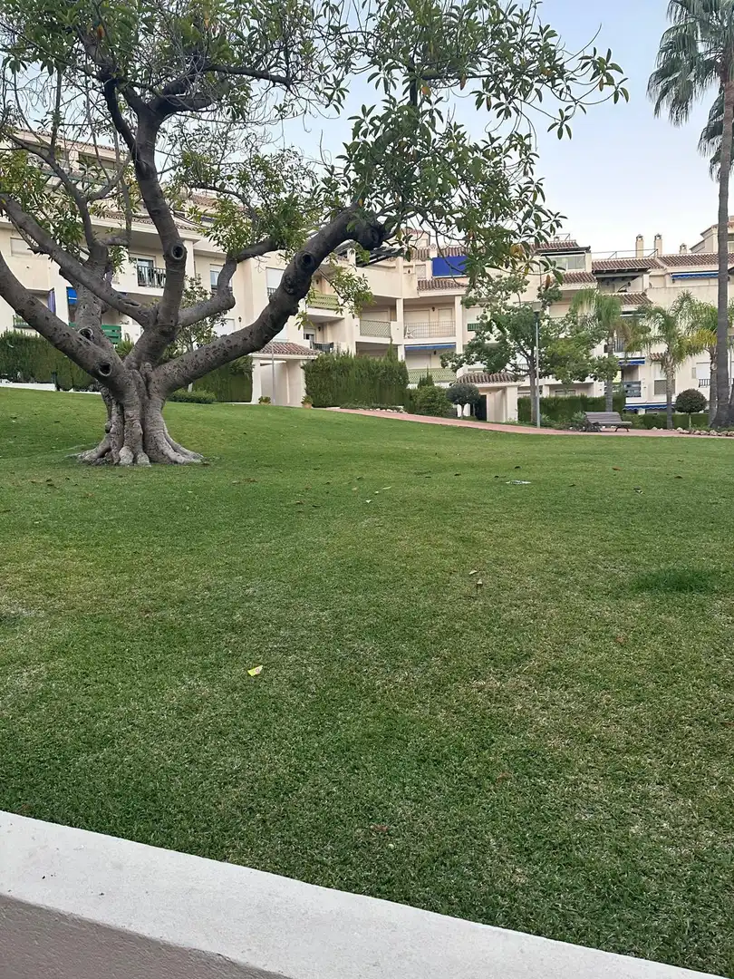 Habitatge amb piscina en venda a Nueva Andalucía, imagen 16