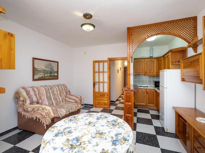 Living room of Flat for sale in Trevélez