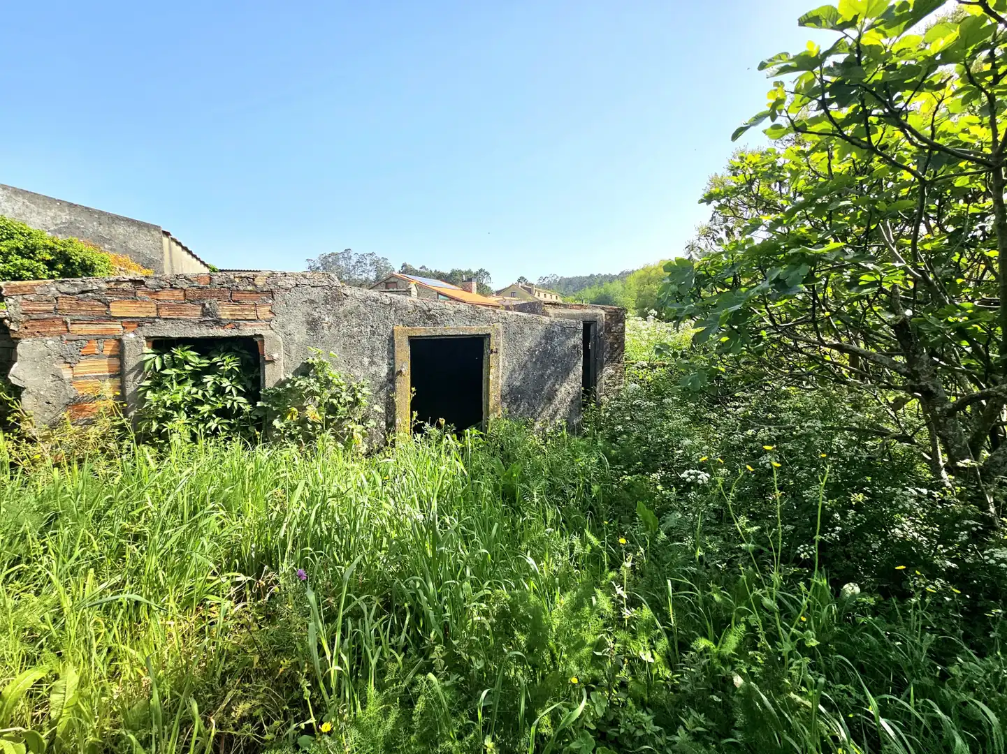 Vista exterior de Casa o chalet en venta en Ribeira con Jardín privado