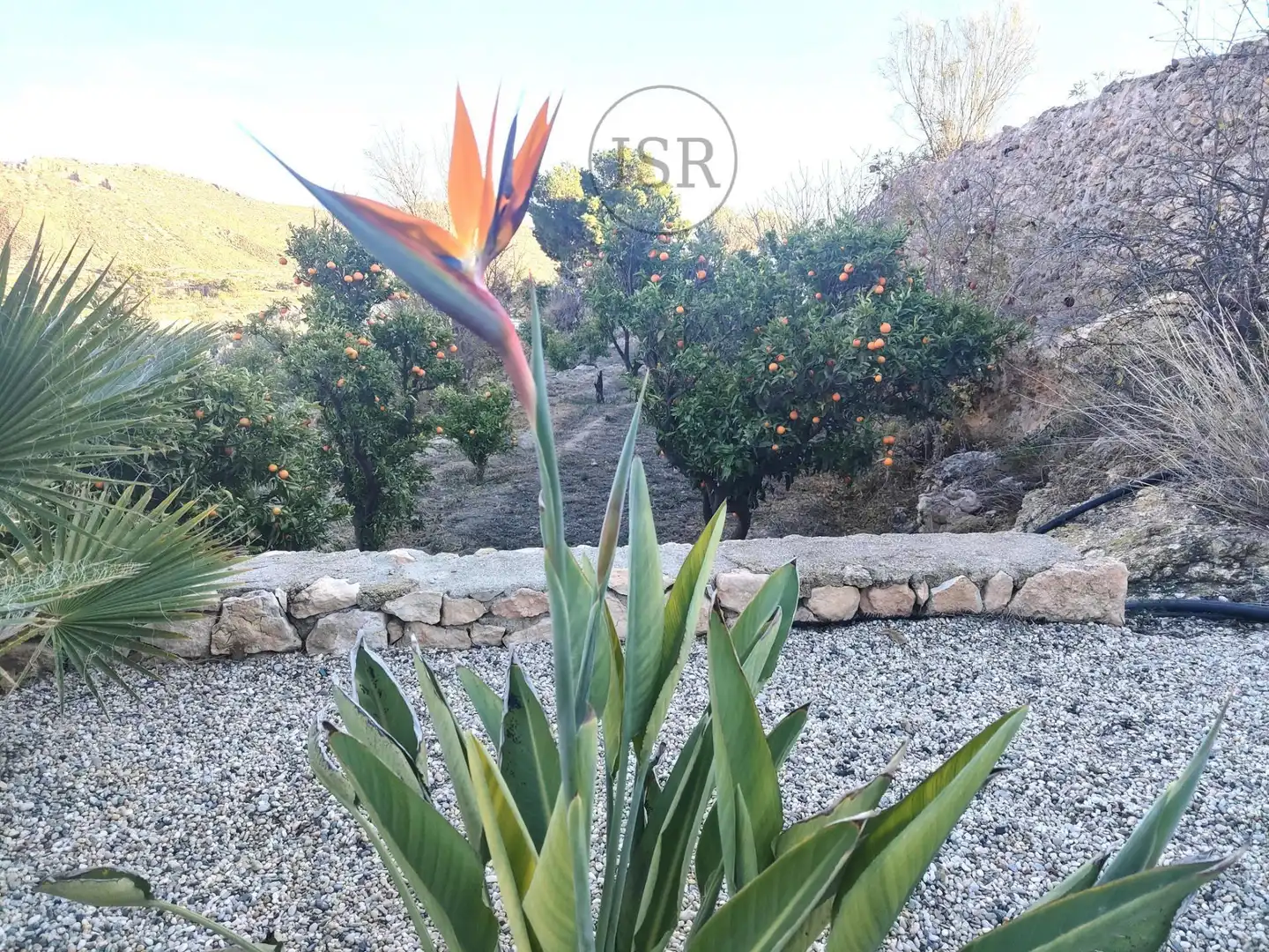 Garden of Houses for sale in Alcóntar  with Air Conditioner, Heating and Private garden