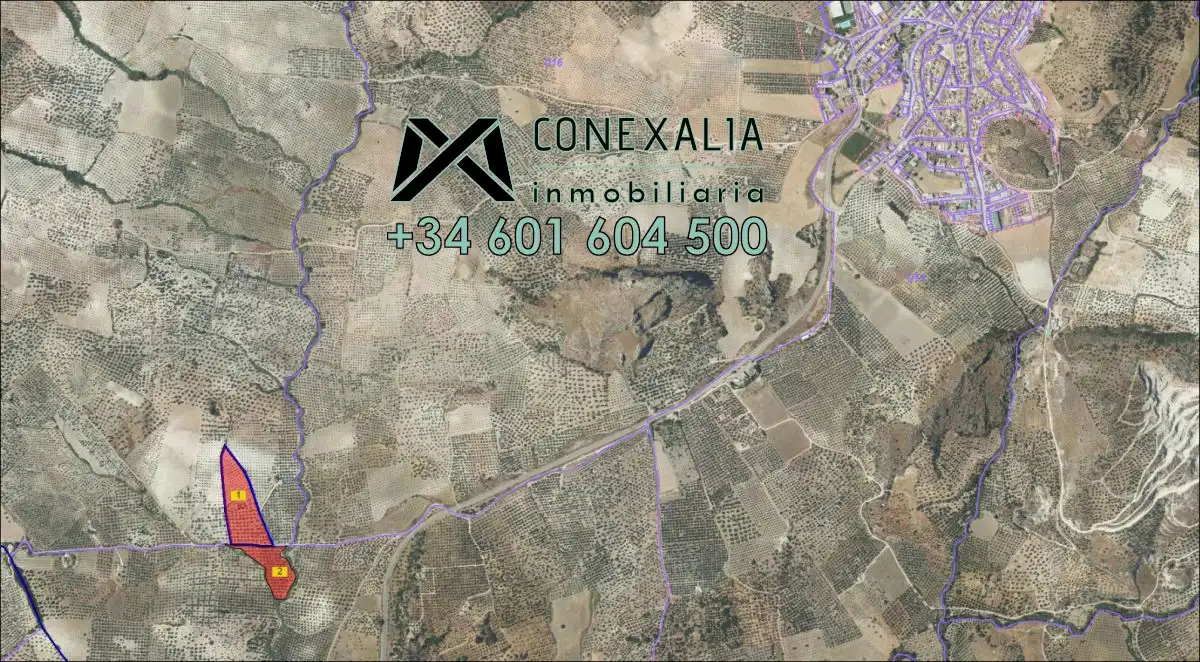 Finca rústica en venta en Pruna