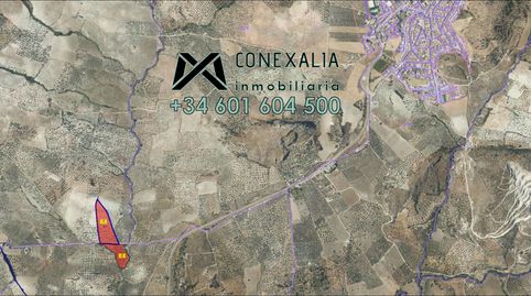 Finca en venta en Pruna., imatge 5