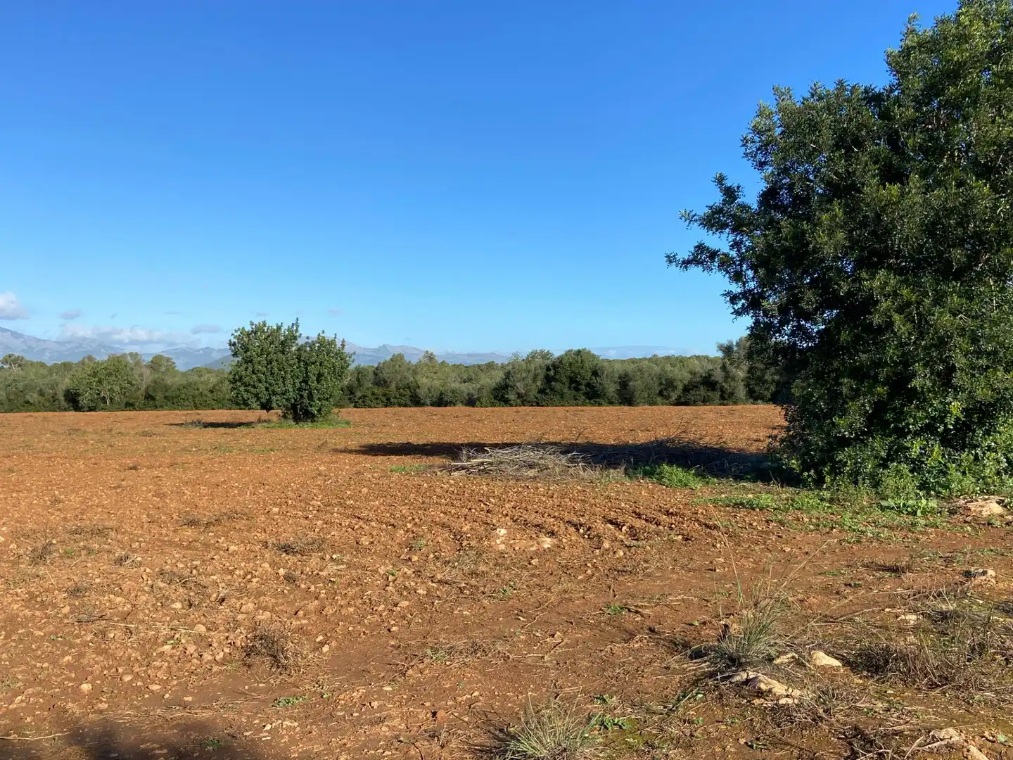 Maison rustique à vendre à Sineu, imagen 27