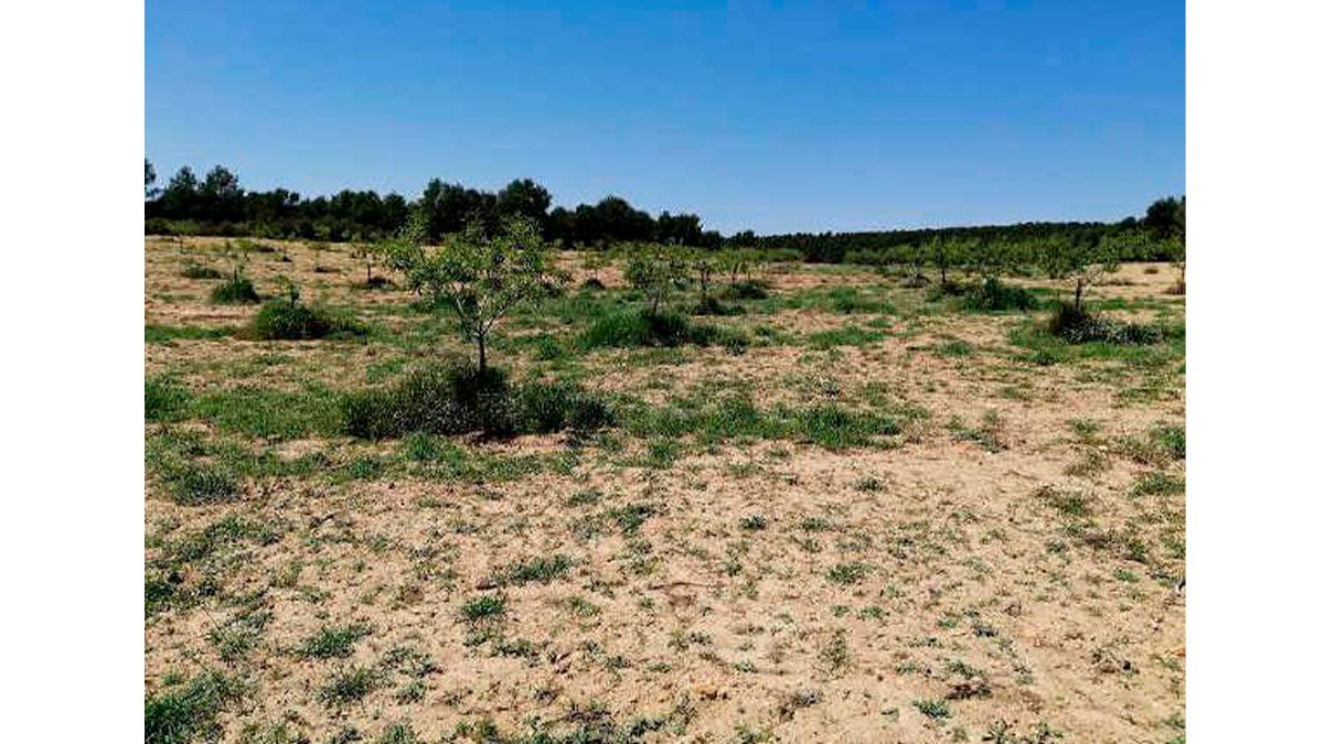 Residencial en venda en Almansa