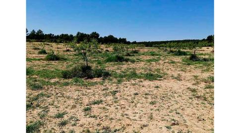 Foto 2 de Residencial en venta en Finca Rustica en Pje Dehesa Jodar las Sierras Pg 4, 41, Almansa, Albacete