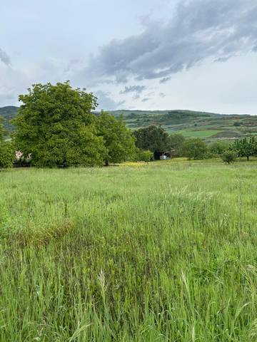 Terreno residencial en Venta en Calle Cereceda en Estollo