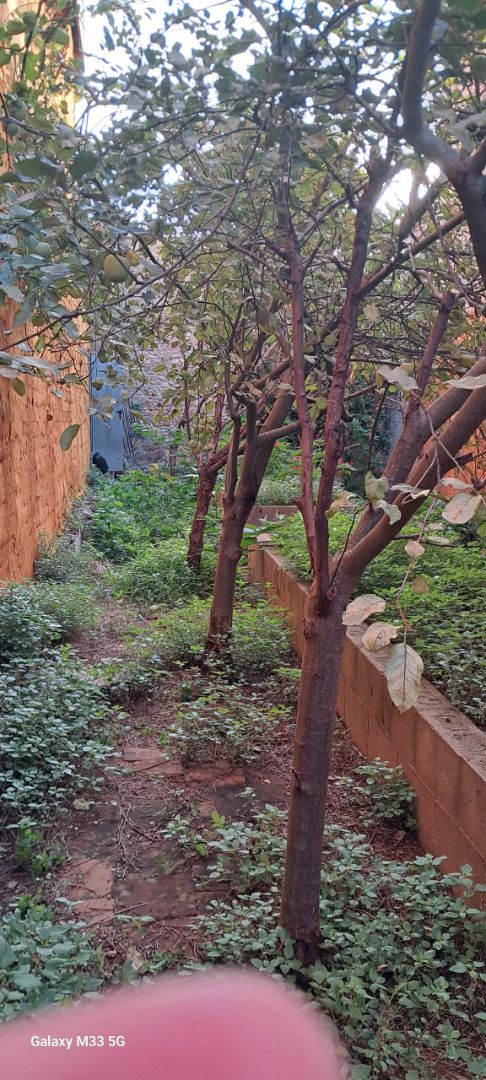 Garden of Residential for sale in Salt
