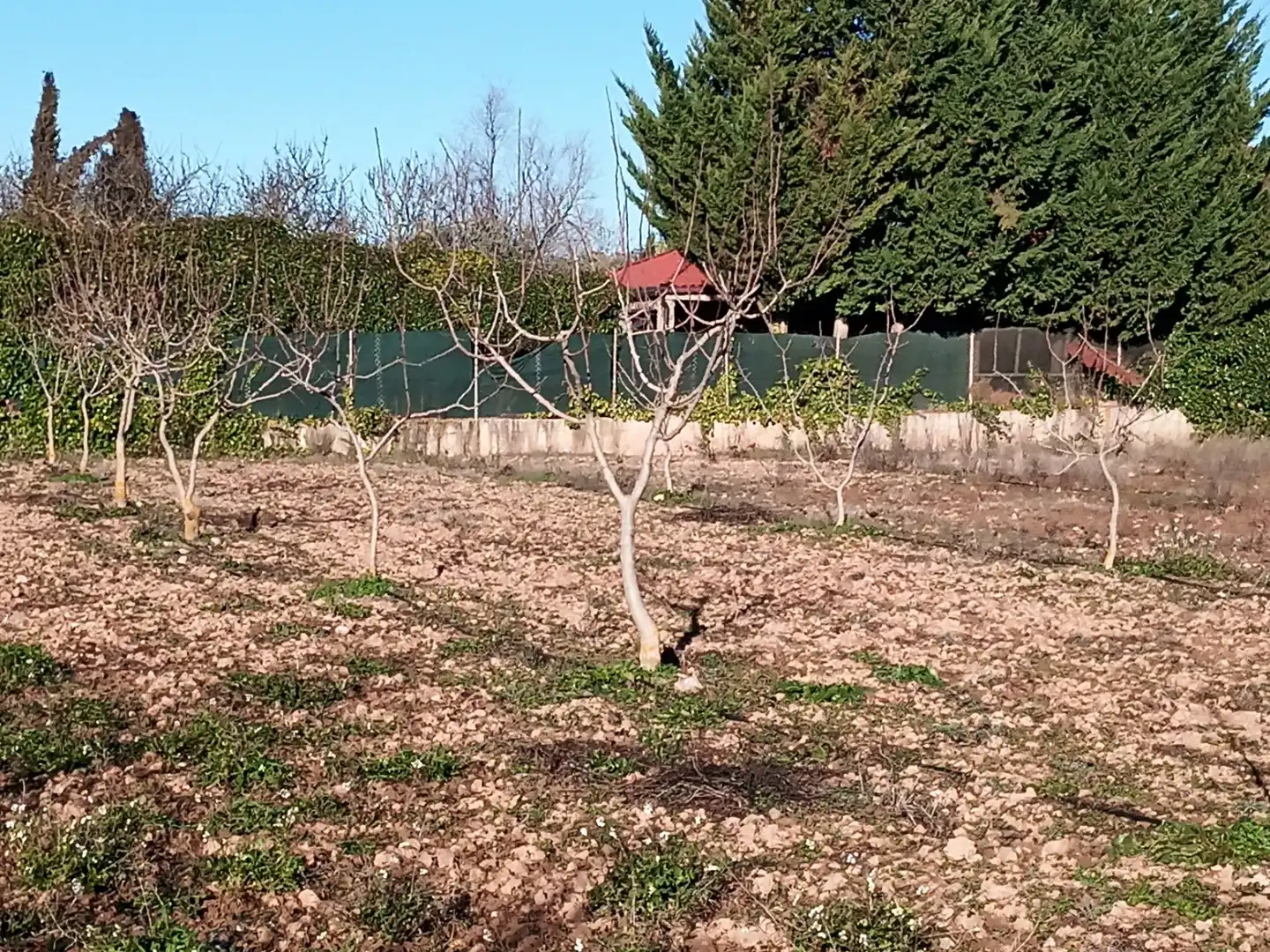 Rural land for sale in Lardero, imagen 2