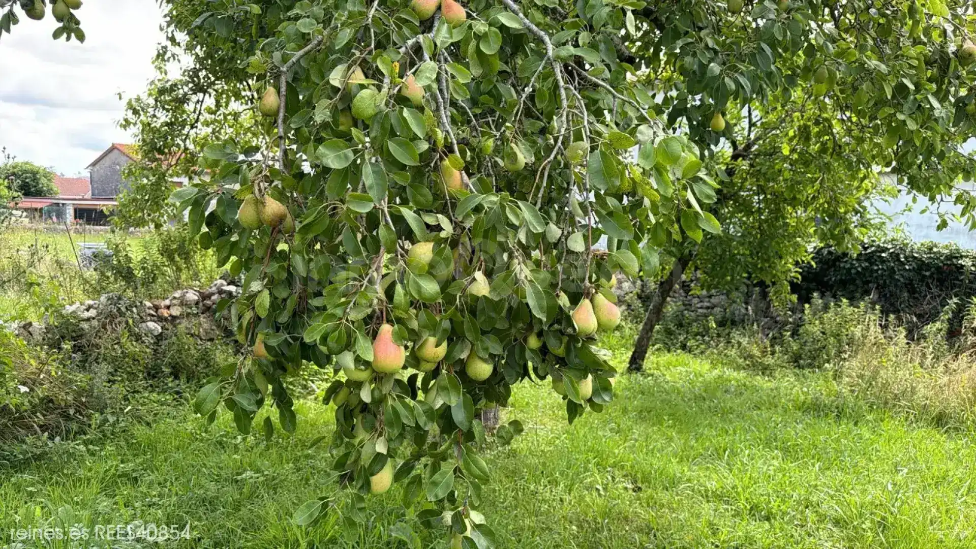 Jardí de Residencial en venda en Entrambasaguas