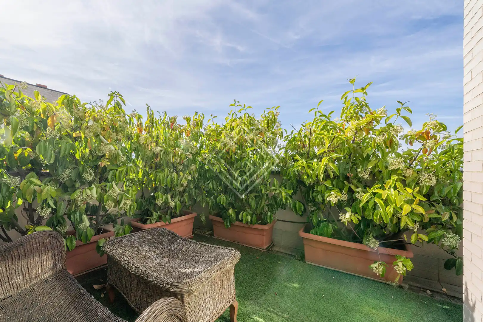 Terrasse von Einfamilien-Reihenhaus zum Verkauf in Madrid mit Klimaanlage, Heizung und Privatgarten