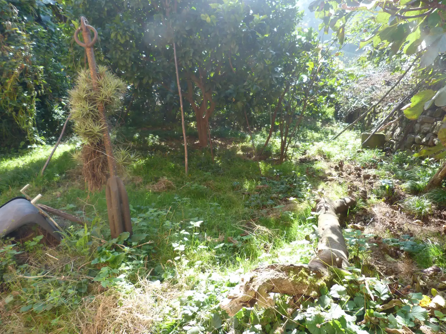 Casa con jardín en venta en Hijas - BO HIJAS-COHIÑO 22, imagen 8