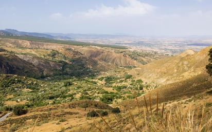 Land for sale in Zona baja