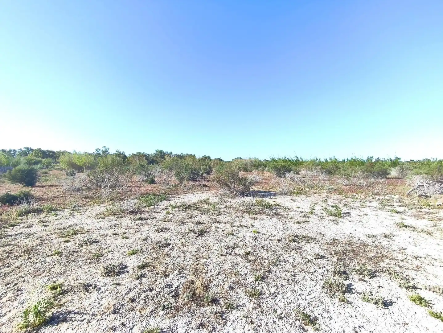 Terreno residencial en venta en Polígono POLIGONO 126 BALSARES 126, imagen 4