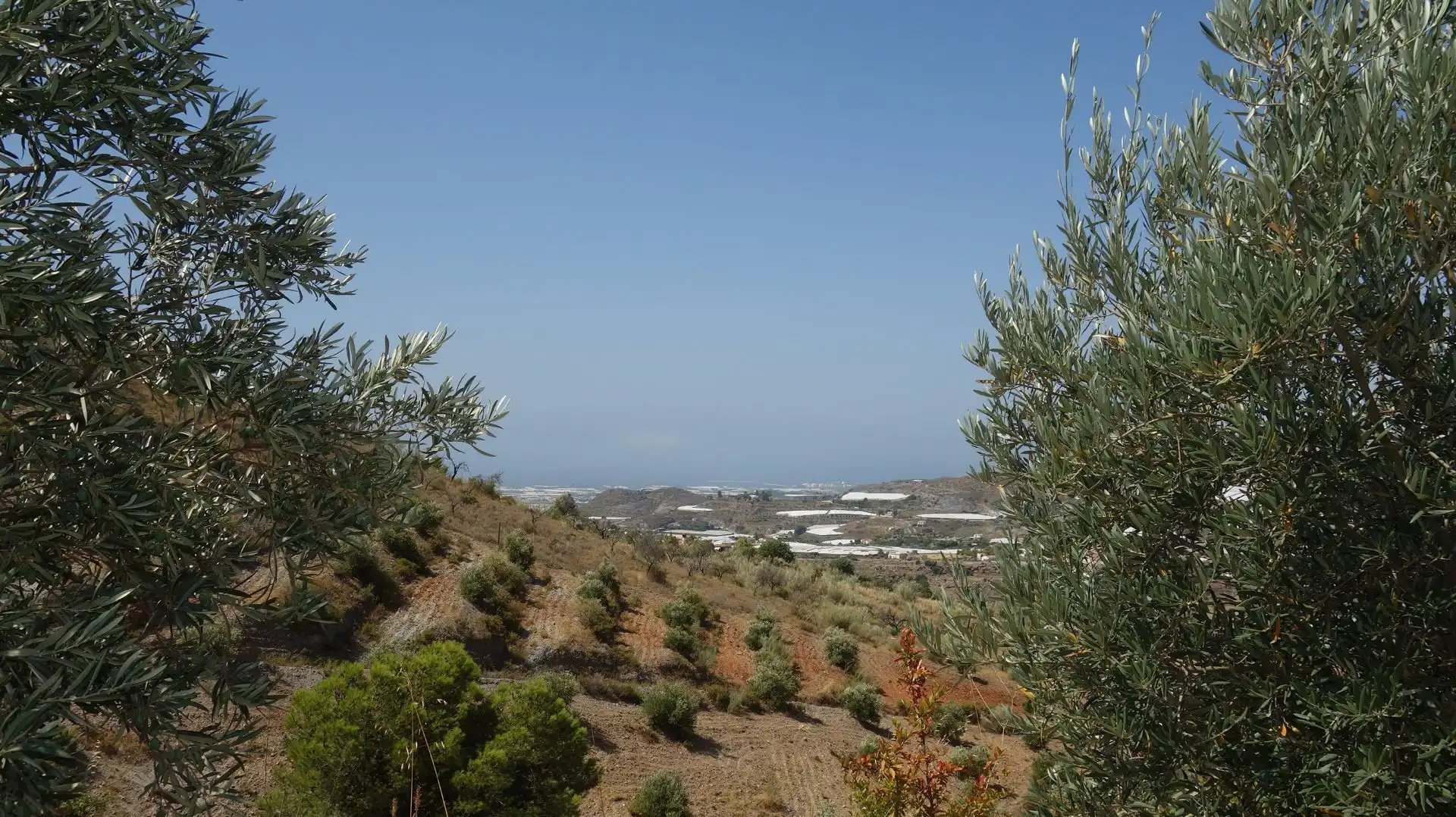 Finca rústica en venda en Motril amb Terrassa i Moblat
