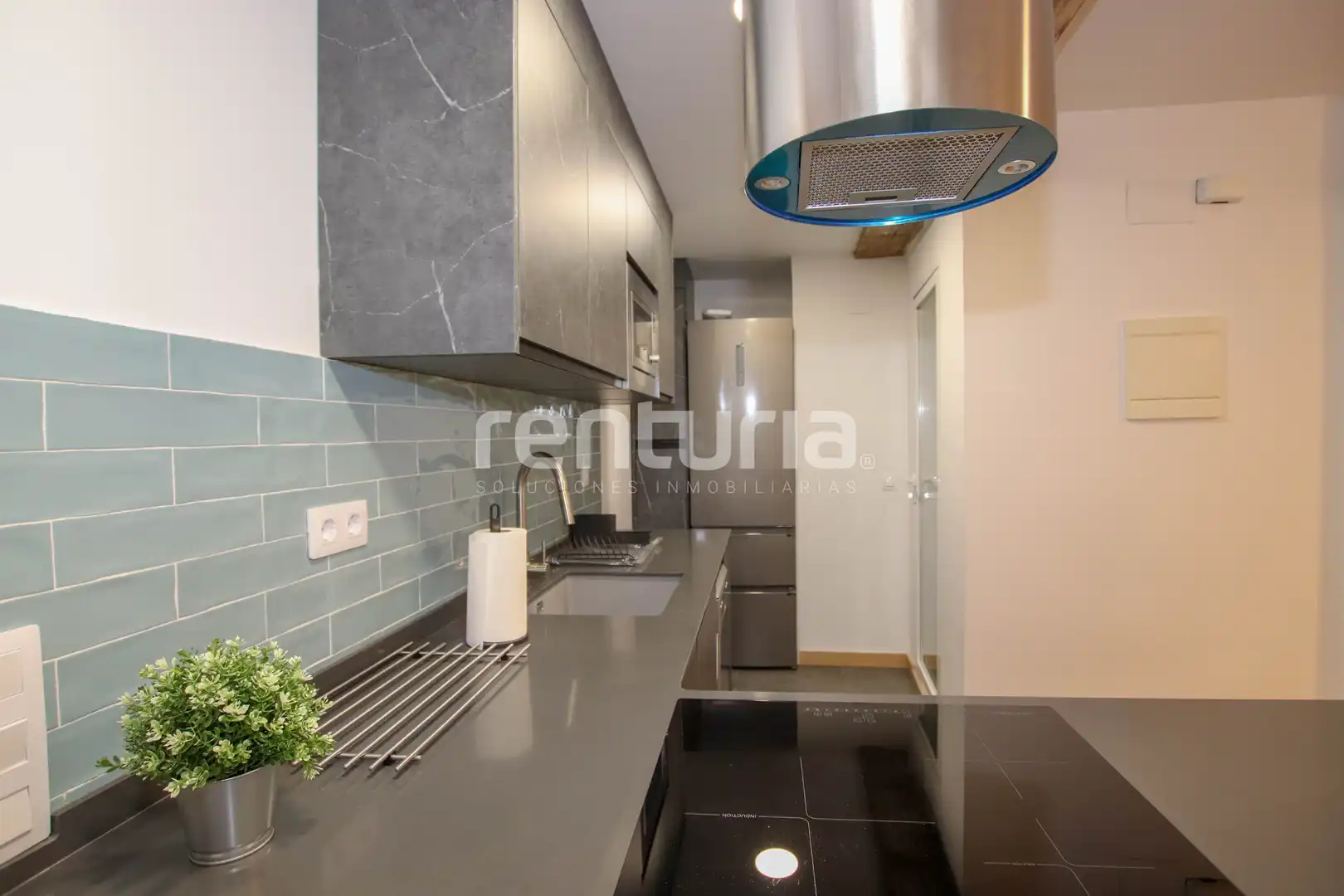 Apartament de lloguer a Carrer de Borrull, El Botànic