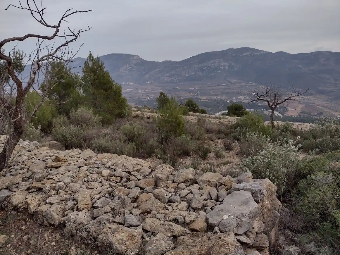 Terreny residencial en venda a Sierra Engarcerán, imagen 4