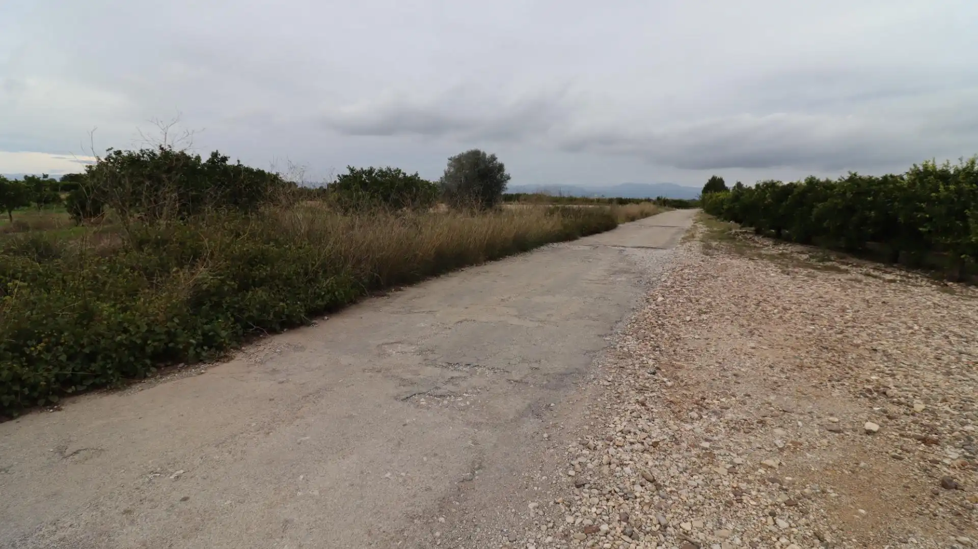 Terreno rustico in vendita a Partidas de interior - Zona Rústica, imagen 11