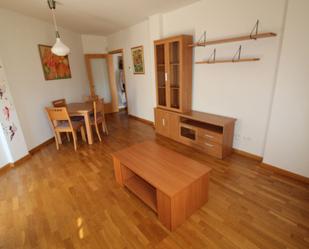 Sala d'estar de Apartament de lloguer en Ciudad Real Capital amb Terrassa