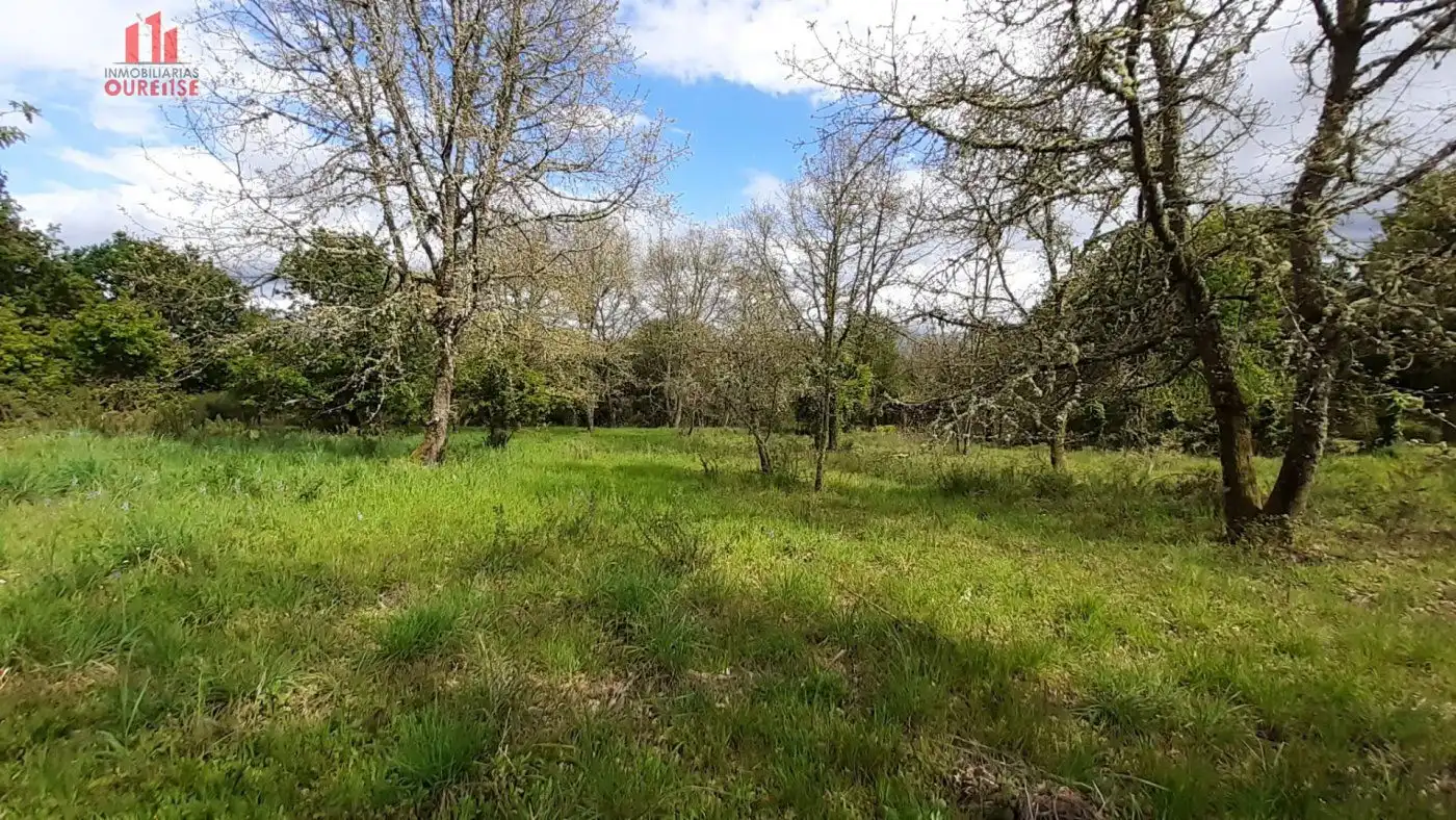 Finca rústica en venta en Ourense Capital 