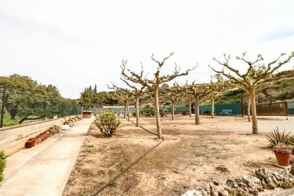 Jardí de Casa o xalet en venda en Font-rubí amb Jardí privat