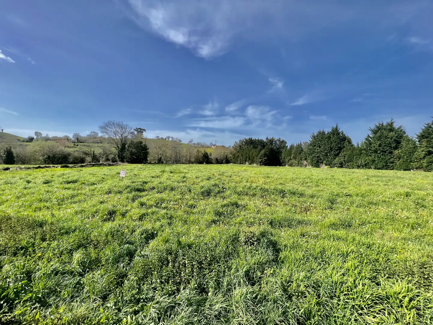 Land for sale in Entrambasaguas