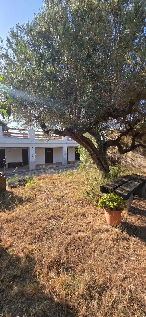 Vista exterior de Finca rústica en venta en El Perelló con Calefacción, Jardín privado y Terraza