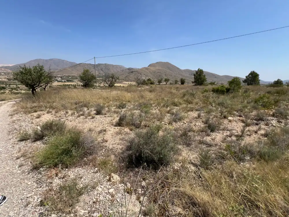 Terreny residencial en venda a La Murada - Los Vicentes, imagen 26