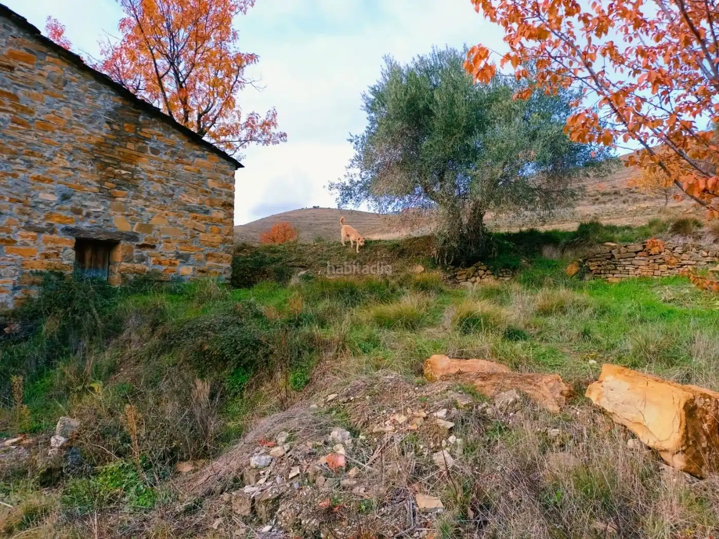Maison rustique à vendre à Carrer Major 21, imagen 8