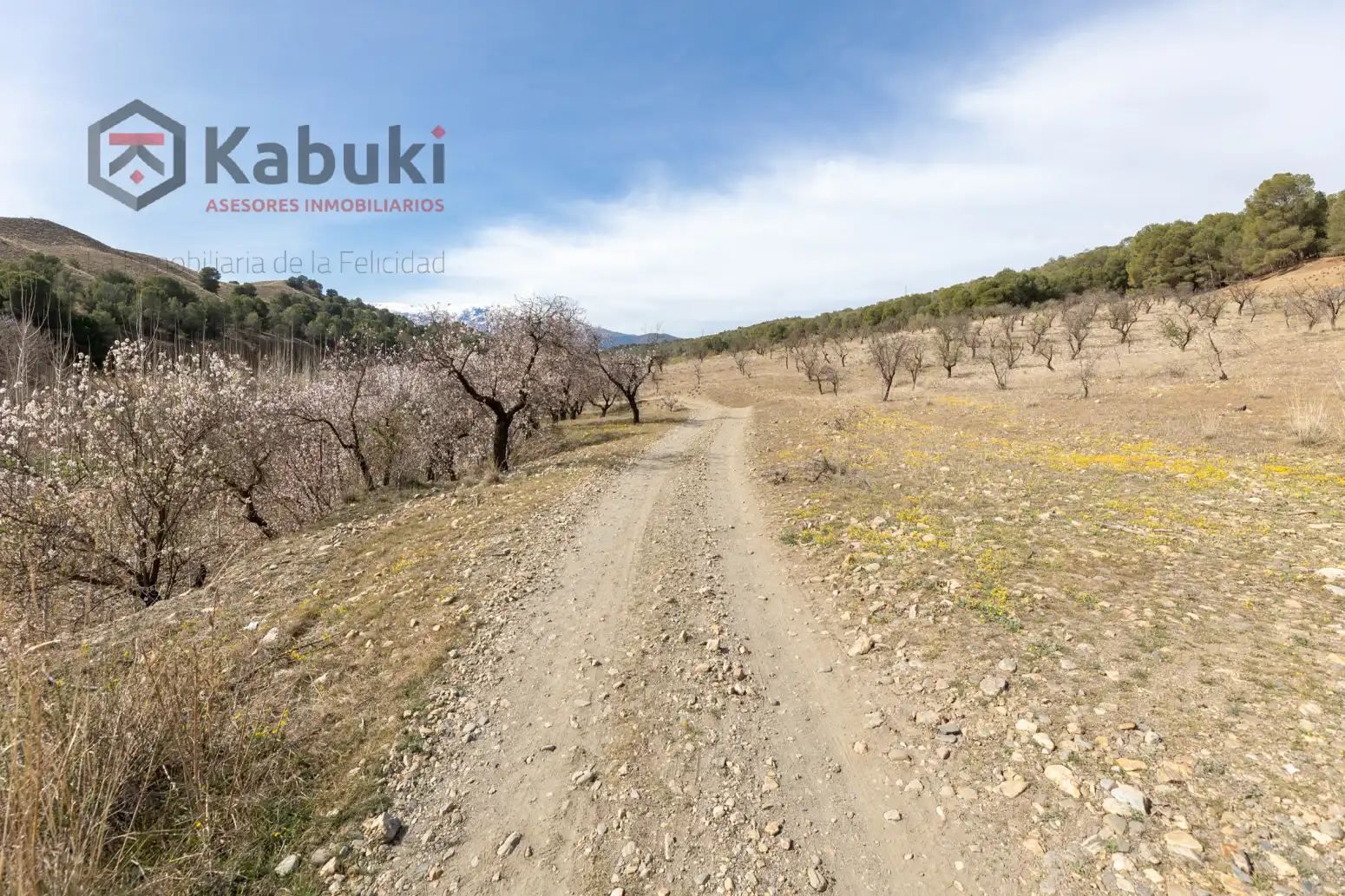 Terreni e lotti in vendita a Guadix - AUTE. VALLE DEL ZALABI, imagen 11