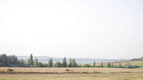 VENTA TERRENO DE CULTIVO ARCOS DE LA FRA., imatge 2