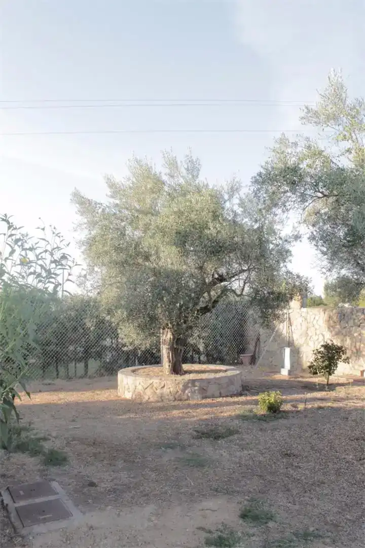 Jardí de Finca rústica en venda en Coria amb Jardí privat, Traster i Moblat