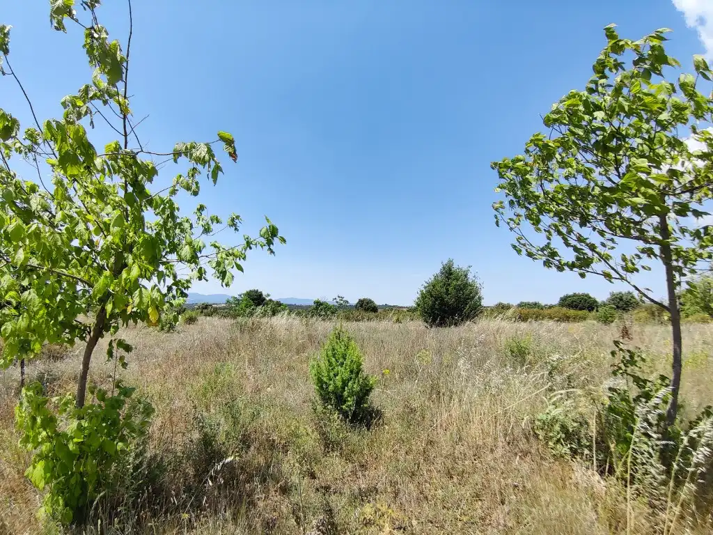 Casa o chalet en venta en Lascuarre