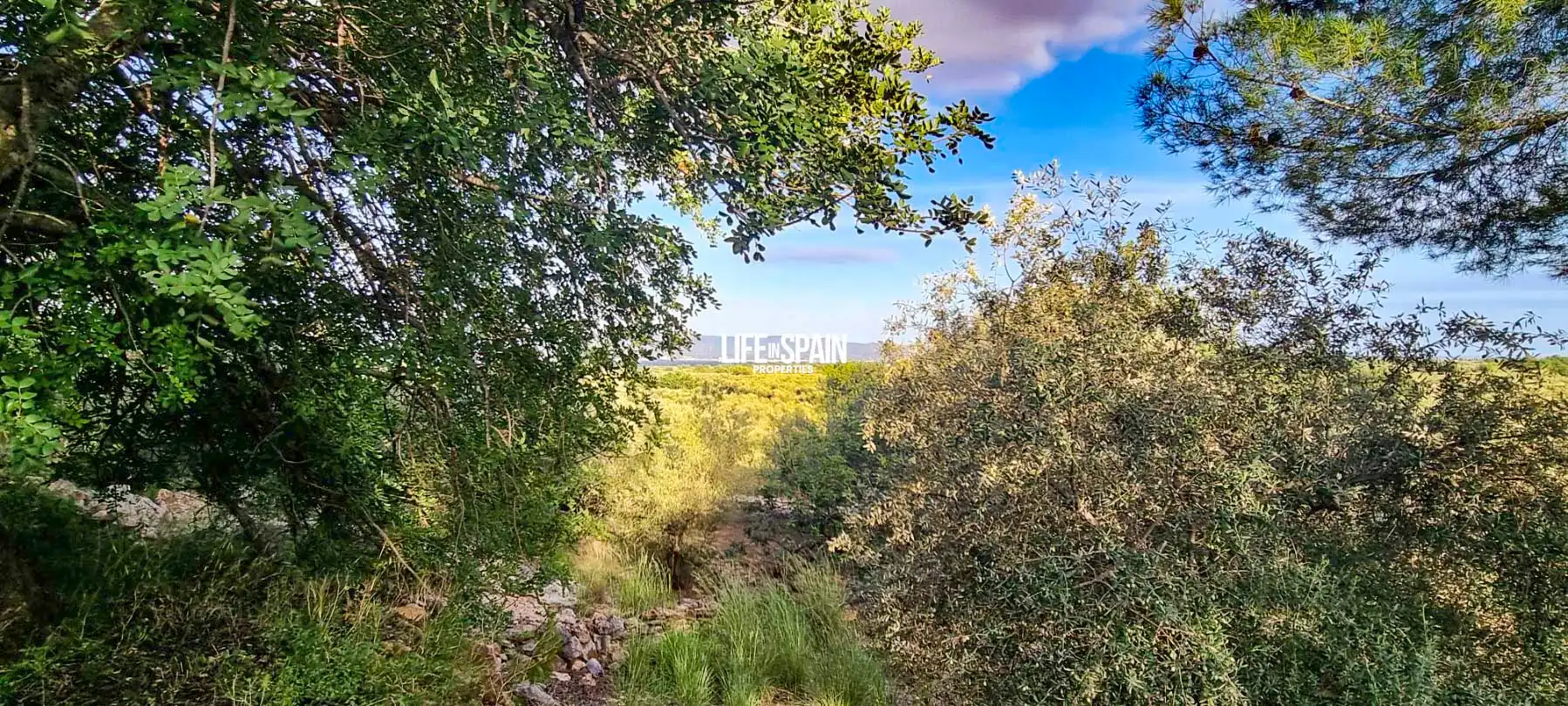 Finca rústica en venda en Roquetes amb Jardí privat i Piscina