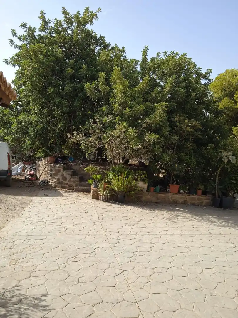 Xalet amb jardí en venda a Calle Sócrates 22, imagen 23