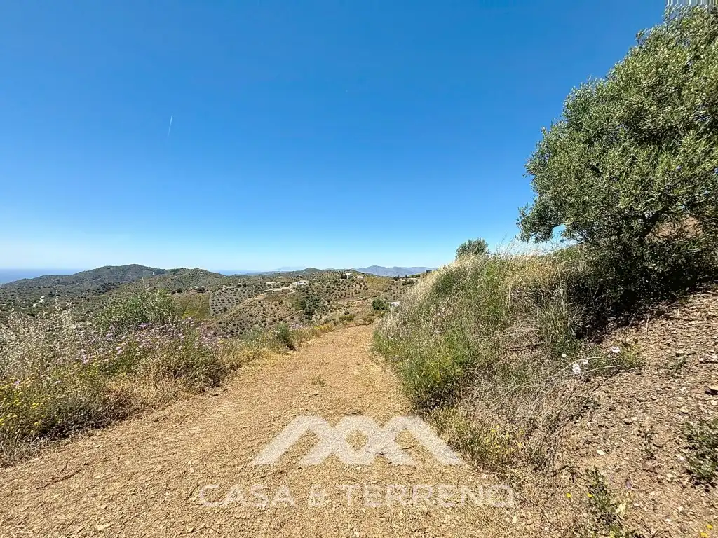 Exterior view of Land for sale in Canillas de Albaida