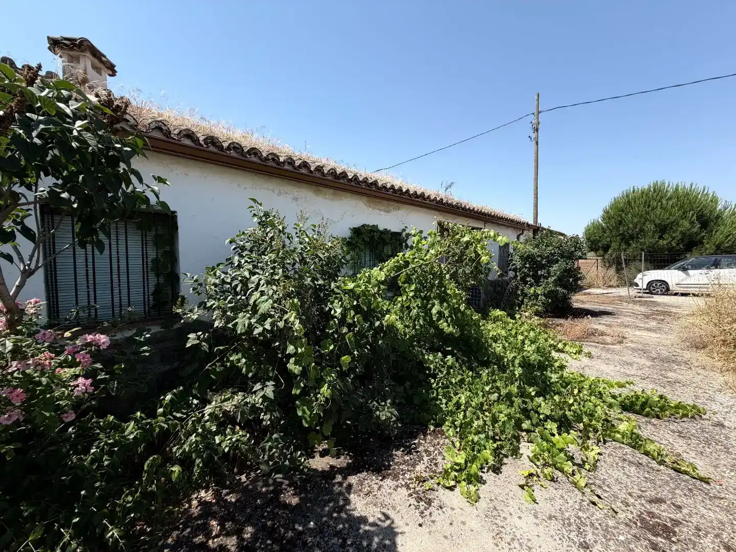 Finca rústica en venda en Calera y Chozas
