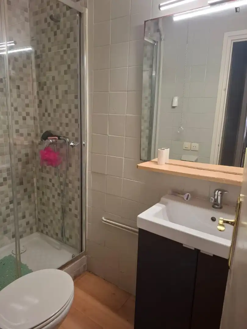 Baño de Apartamento para compartir en Barcelona con Amueblado, Horno y Lavadora