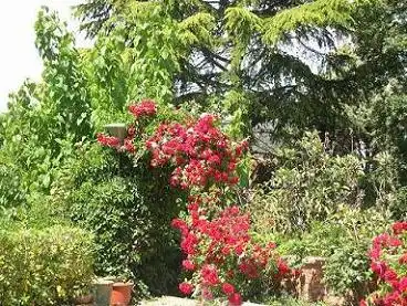 Casa con terraza en venta en Carrer Ter 24M, imagen 20